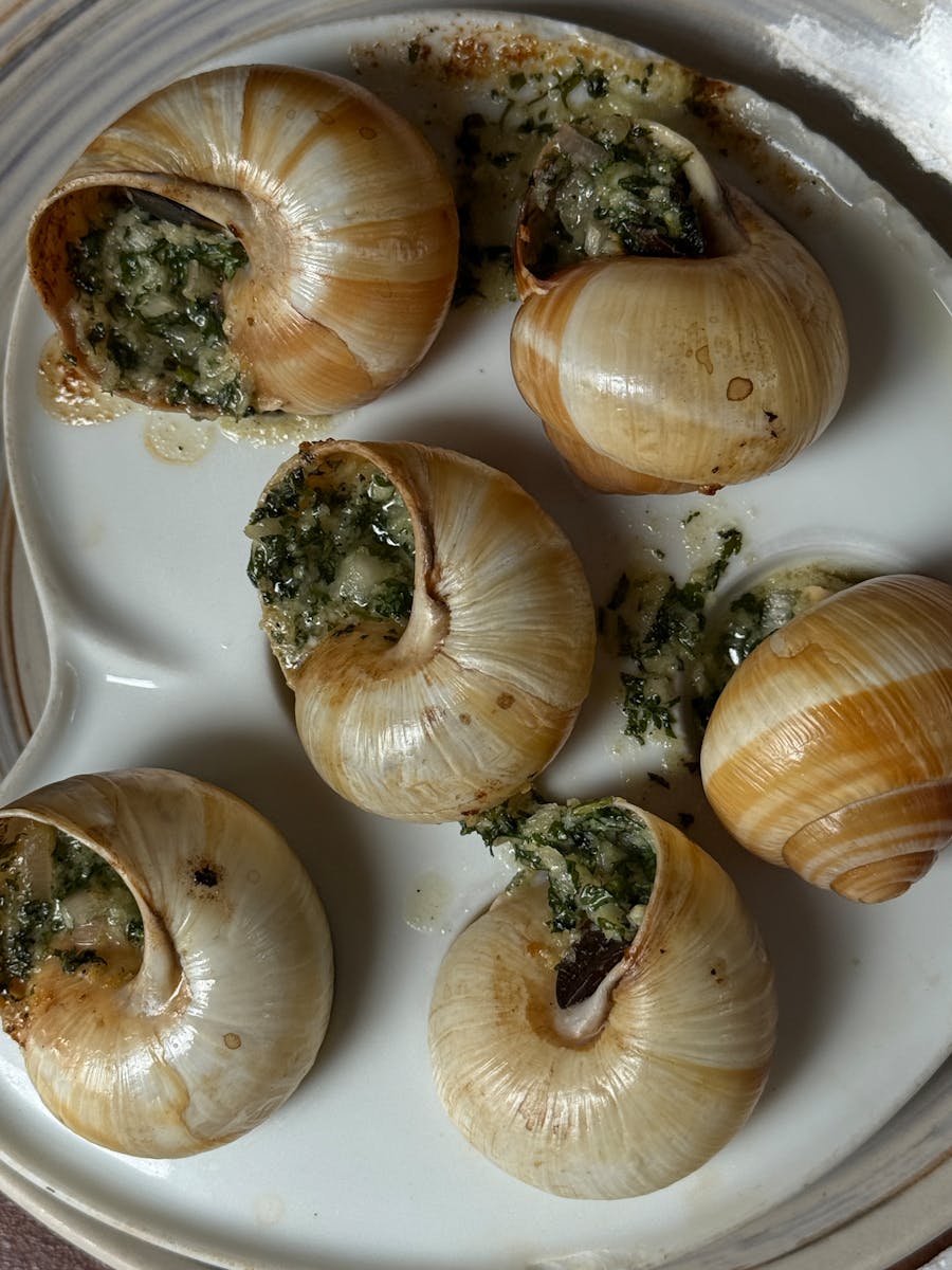 Contactar con Bar Rincón Andaluz Delicious escargot served in shells with garlic and herbs.